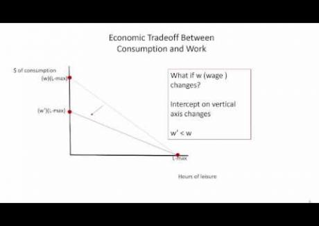 Week 8: Module 8.1 (Review of) Economic Model of Conumption-Leisure Choice