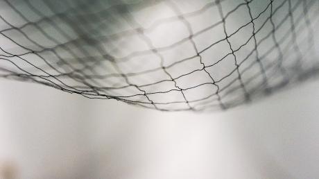 Safety net
