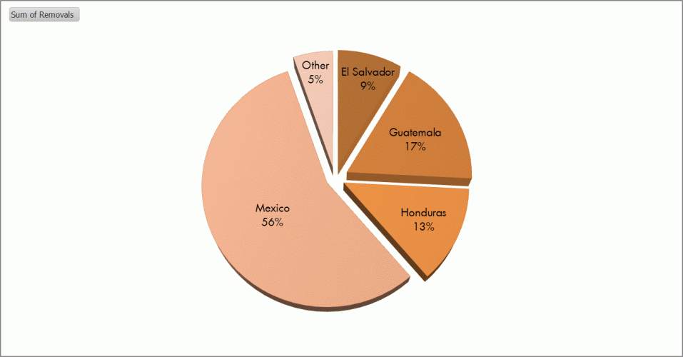 2014 Removals by Country of Origin
Source: U.S. Immigrations and Customs Enforcement, “FY 2014 ICE Immigration Removals.” 