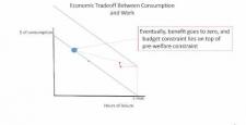 Week 8: Module 8.2 Economic Theory of Welfare and Work Incentives