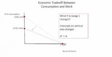 Week 8: Module 8.1 (Review of) Economic Model of Conumption-Leisure Choice