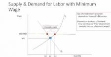 Week 7: Module 7.2 Poverty and the Minimum Wage