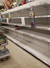 Shopper with bare shevles